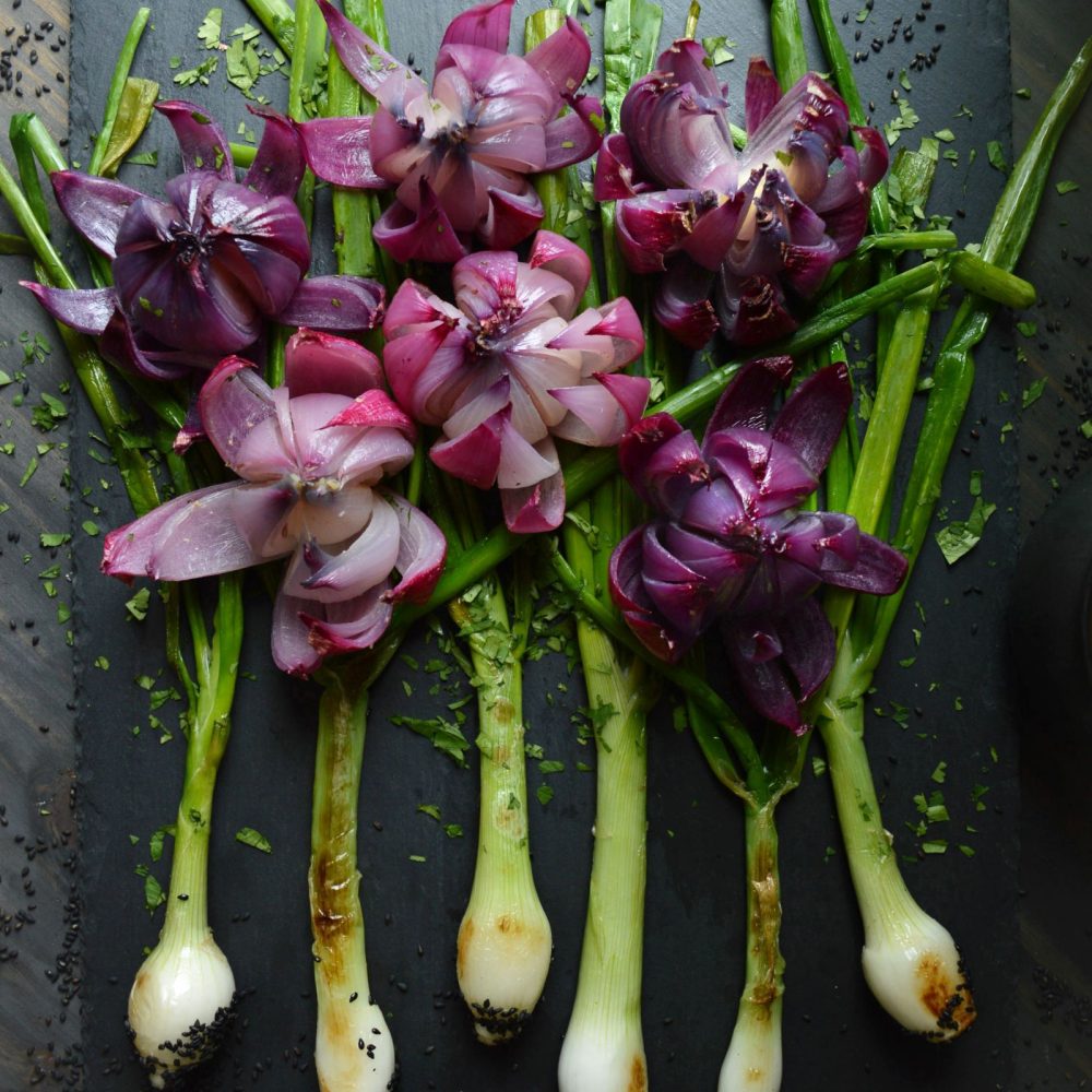 Blooming Nightshade Ghoul at Heart